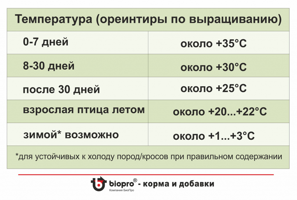 Условия содержания.jpg Условия содержания.jpg