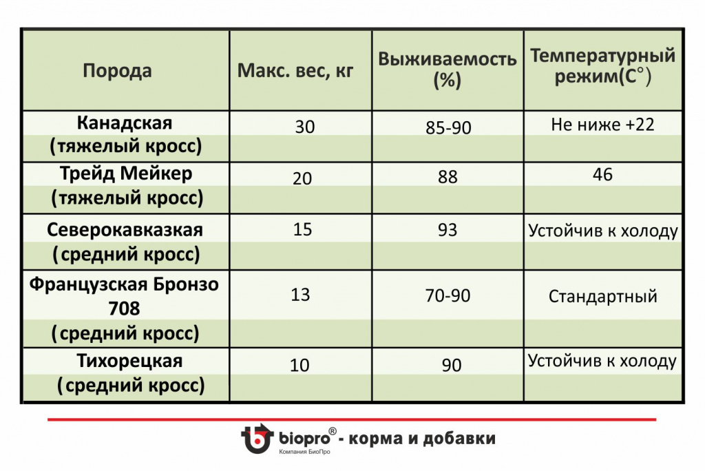 Средние и тяжелые кросы.jpg Средние и тяжелые кросы.jpg