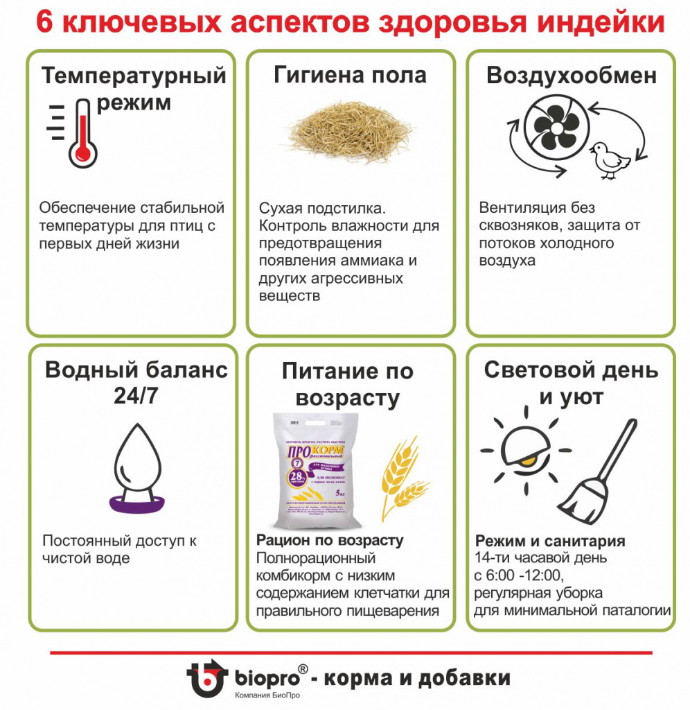 6 ключевых оспектов.jpg 6 ключевых оспектов.jpg