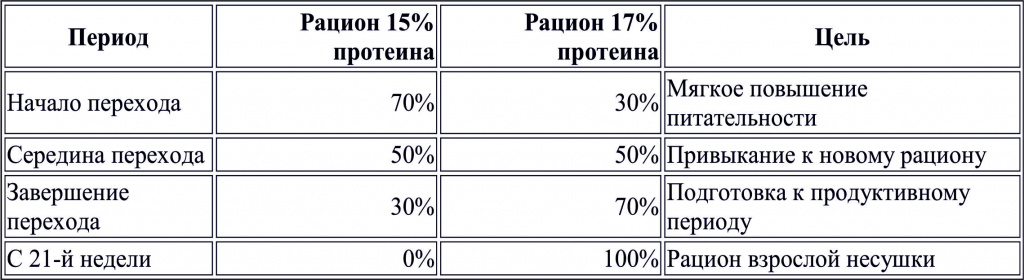 нес12345.jpg нес12345.jpg