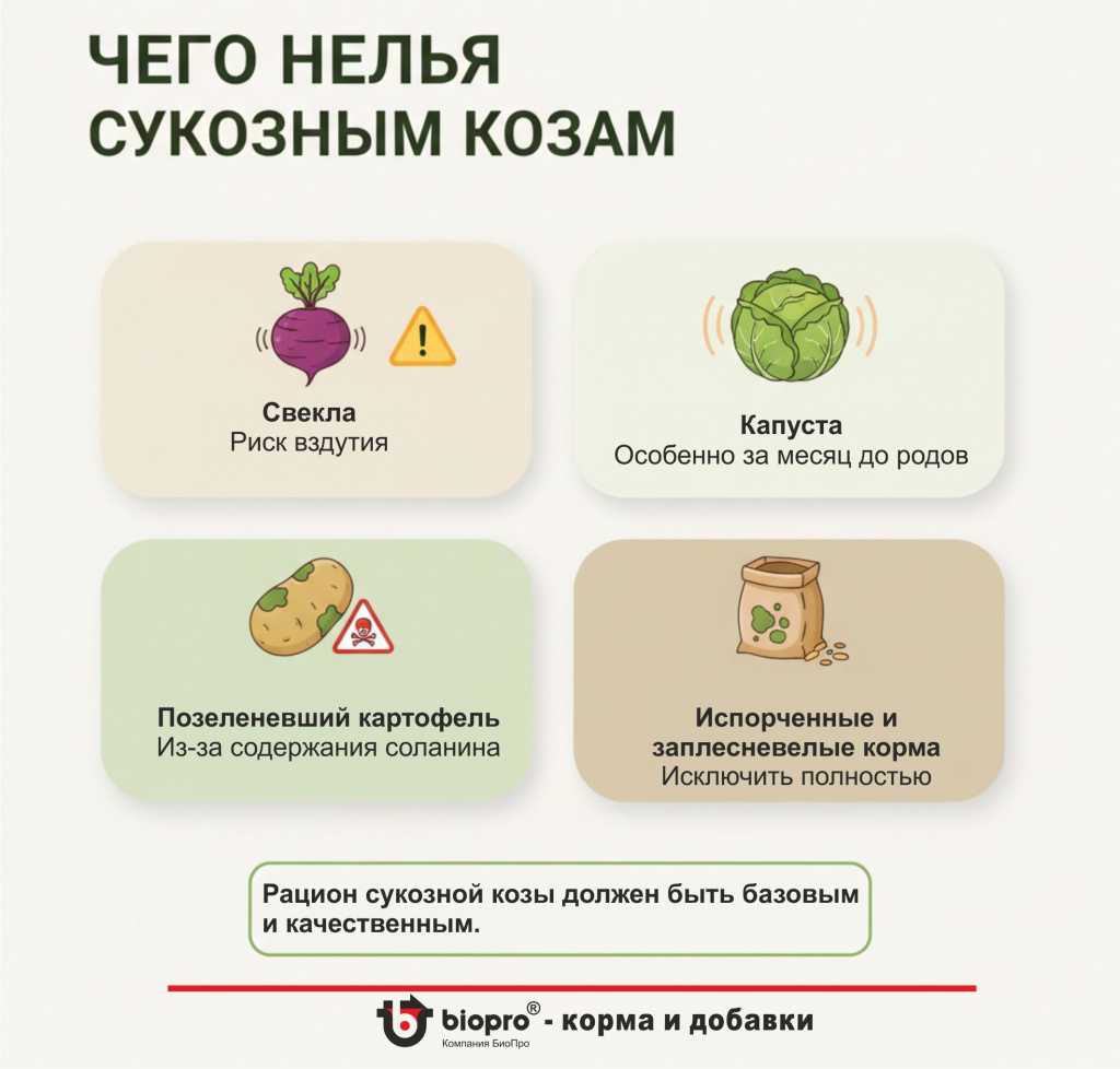 Чего нельзя сукозным козам.jpg Чего нельзя сукозным козам.jpg