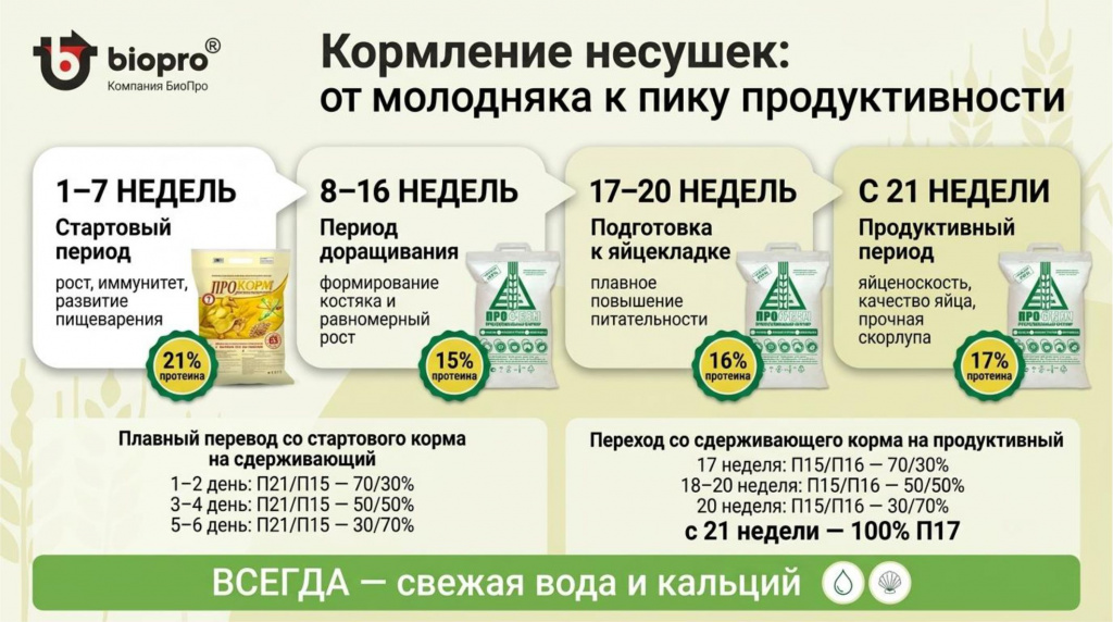 нес123.jpg