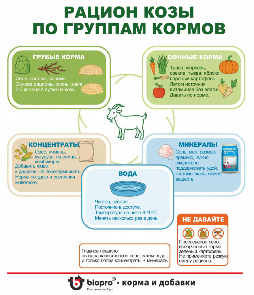 Для статьи козы2.jpg Для статьи козы2.jpg
